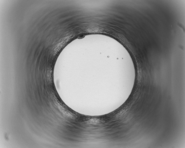 X0000103480441200810101003