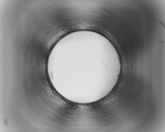 X0000103480442200810101003