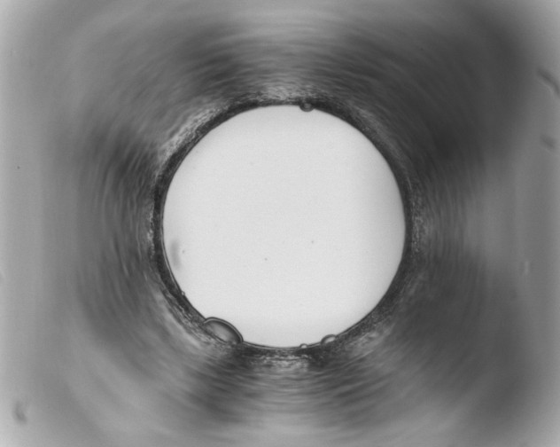 X0000103480443200810101003