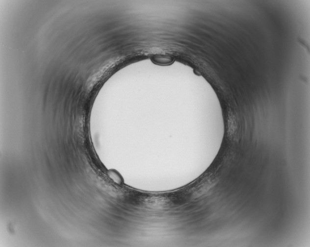 X0000103480444200810101003