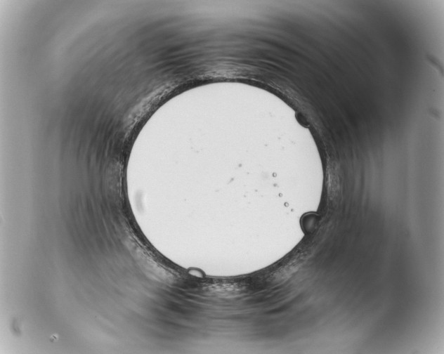X0000103480445200810101003