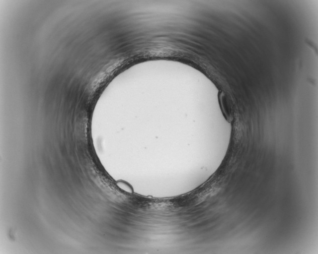 X0000103480446200810101003