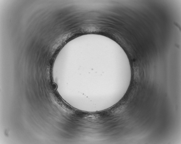 X0000103480447200810101003