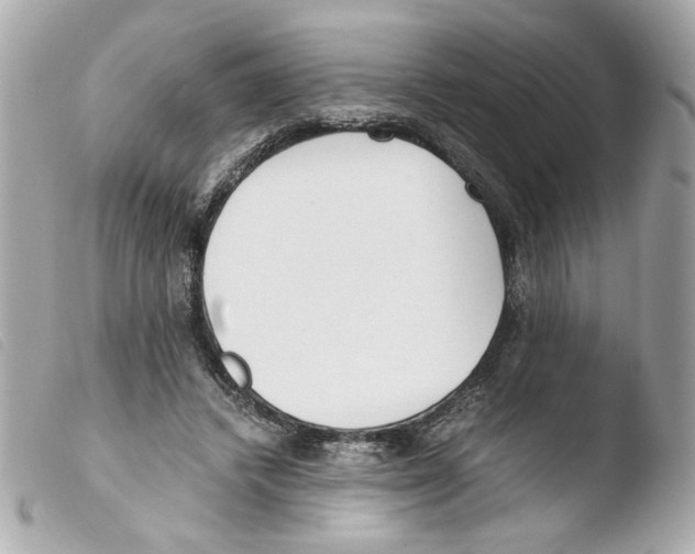 X0000103480448200810101003