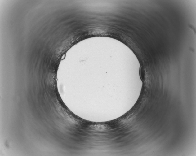 X0000103480449200810101003