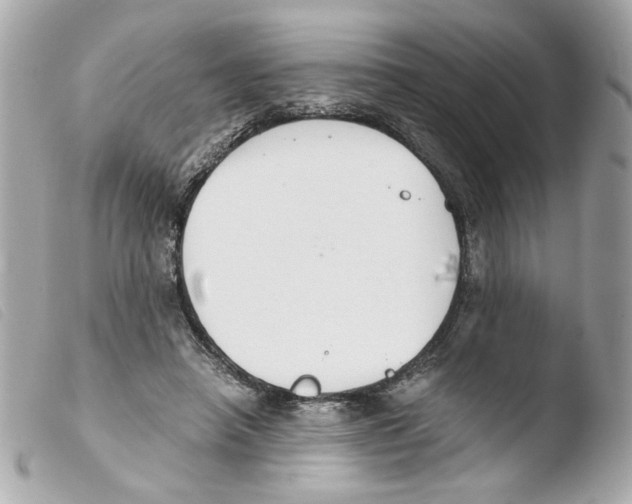 X0000103480450200810101003
