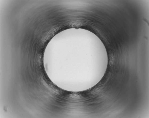 X0000103480451200810101003