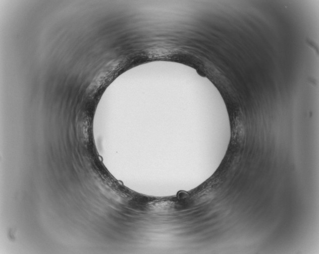 X0000103480452200810101003