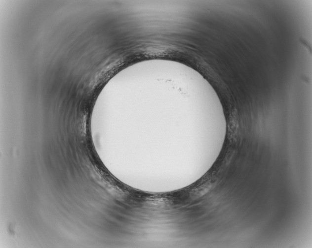 X0000103480454200810101003