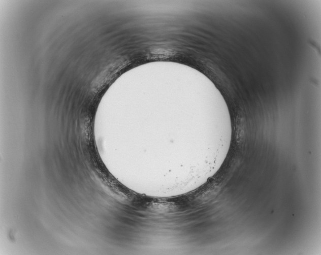 X0000103480455200810101003