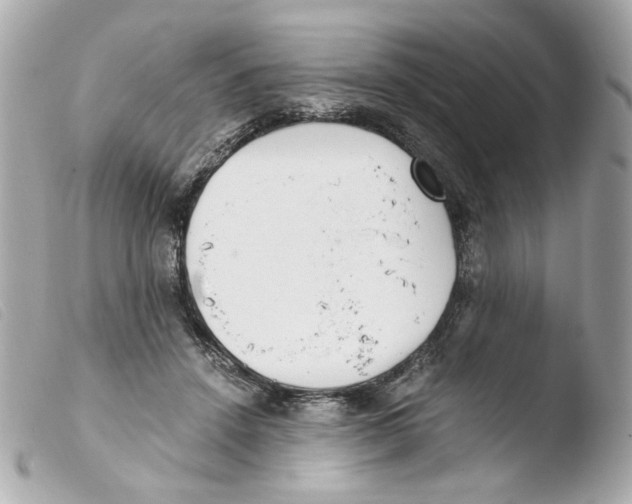 X0000103480456200810101003
