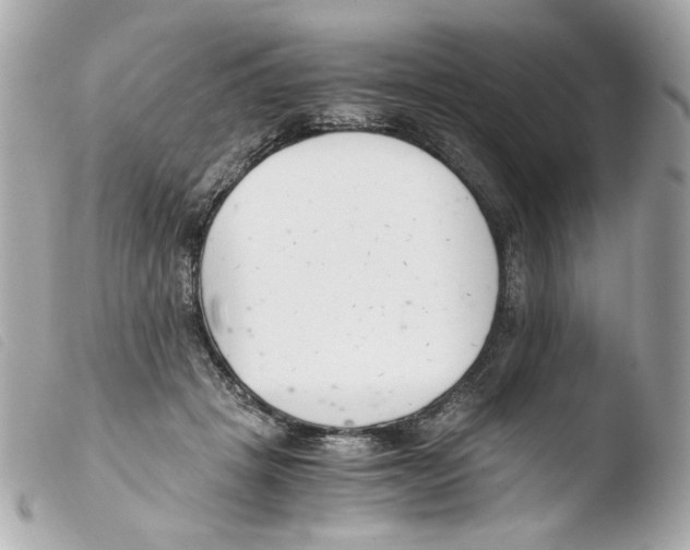 X0000103480457200810101003