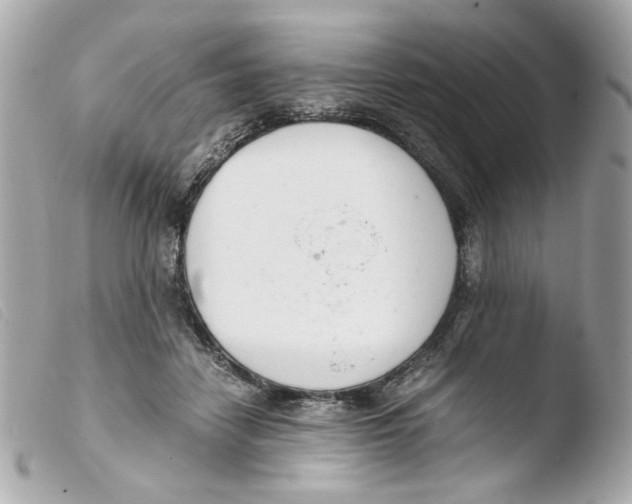 X0000103480458200810101003