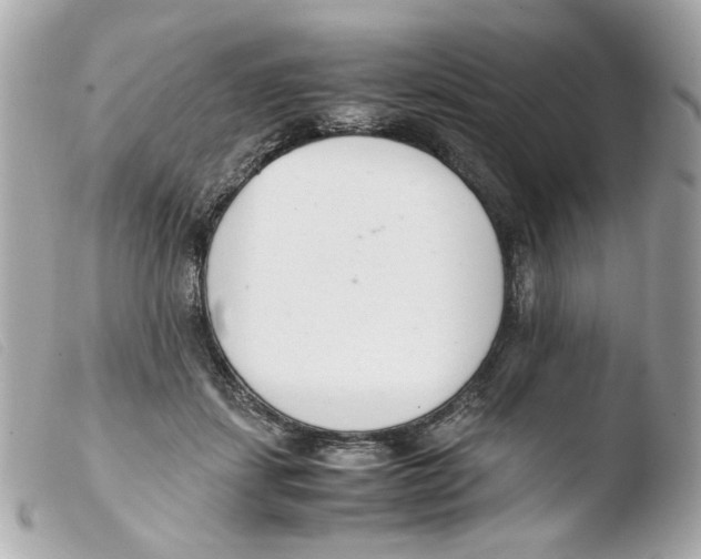 X0000103480459200810101003
