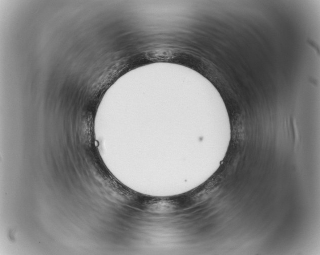 X0000103480460200810101003