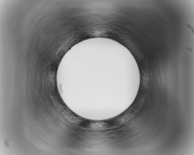 X0000103480461200810101003