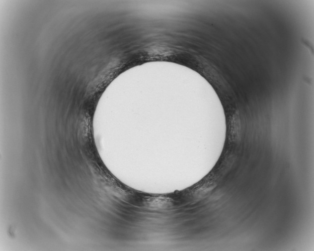X0000103480463200810101003