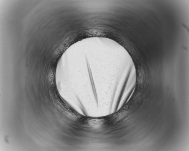 X0000103480465200810101003
