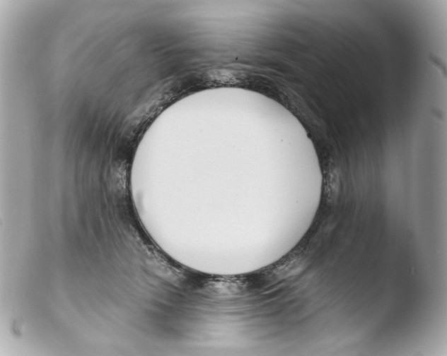 X0000103480466200810101003