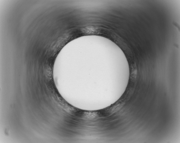 X0000103480469200810101003
