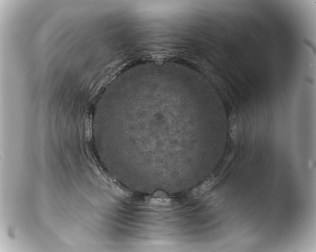X0000103480471200810101004