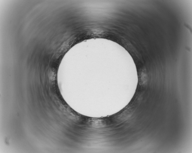 X0000103480472200810101004