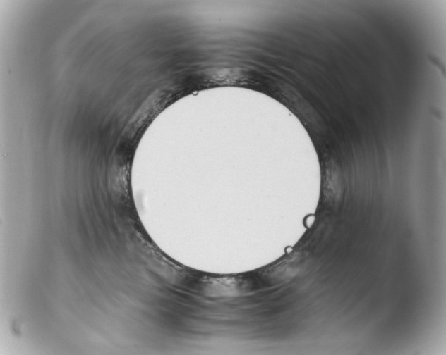 X0000103480473200810101004