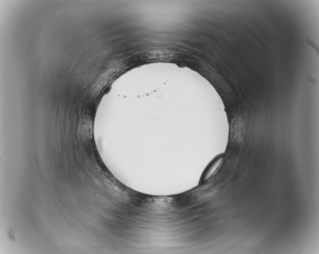 X0000103480474200810101004