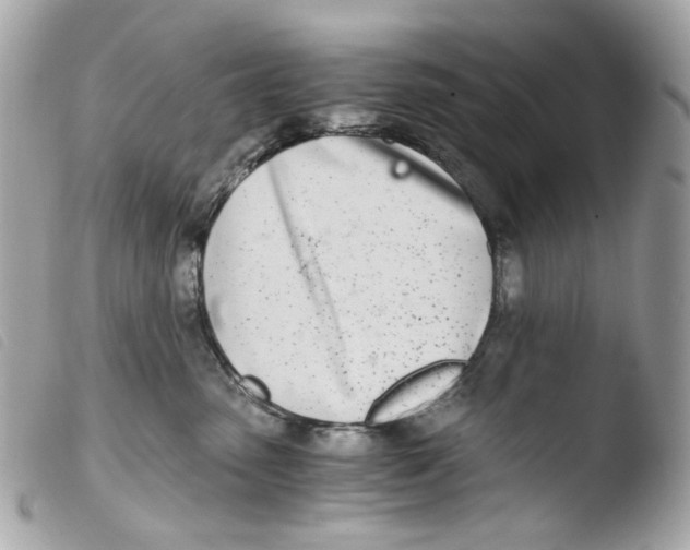 X0000103480475200810101004