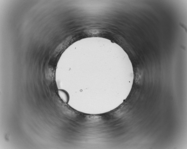 X0000103480476200810101004
