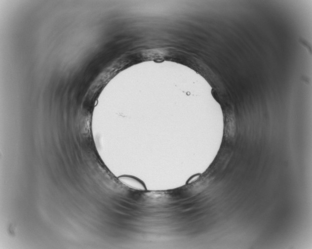 X0000103480477200810101004