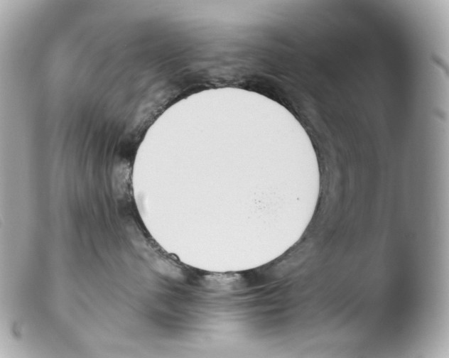 X0000103480480200810101004
