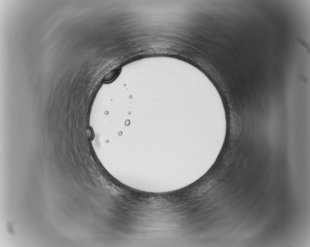 X0000103480481200810101003
