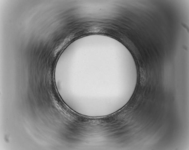 X0000103480482200810101003