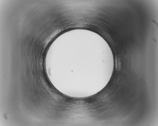 X0000103480483200810101003