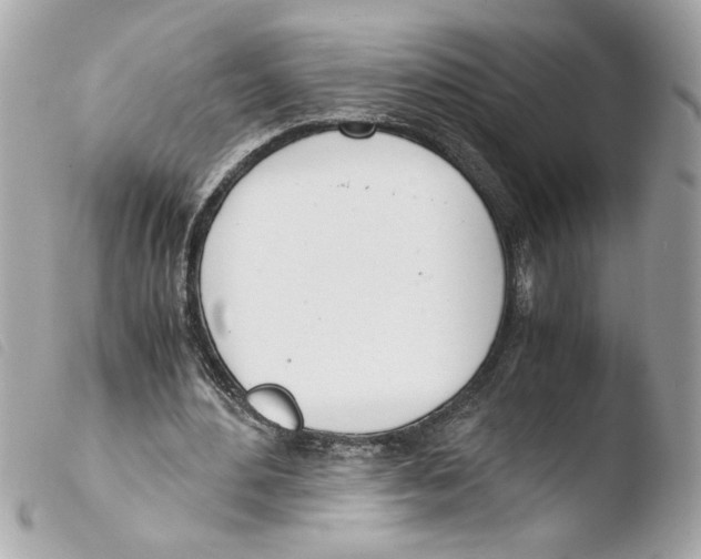 X0000103480484200810101003
