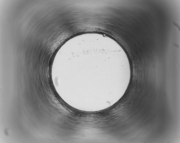 X0000103480485200810101003