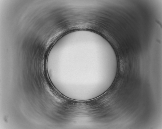 X0000103480486200810101003