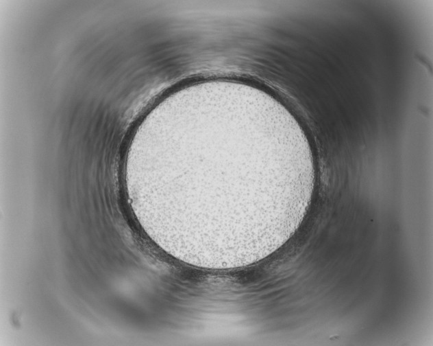 X0000103480487200810101003