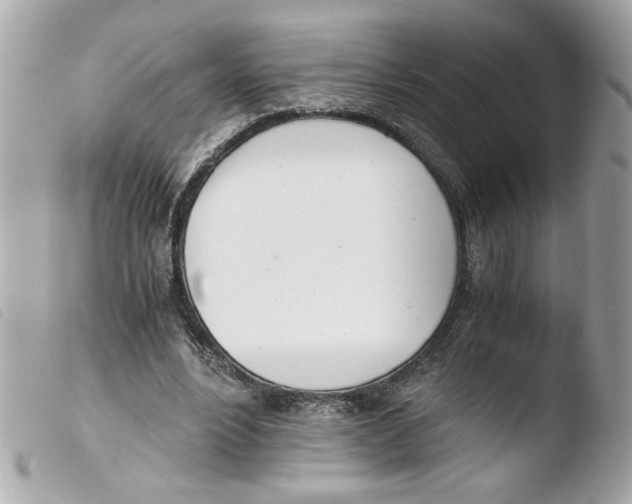 X0000103480488200810101003