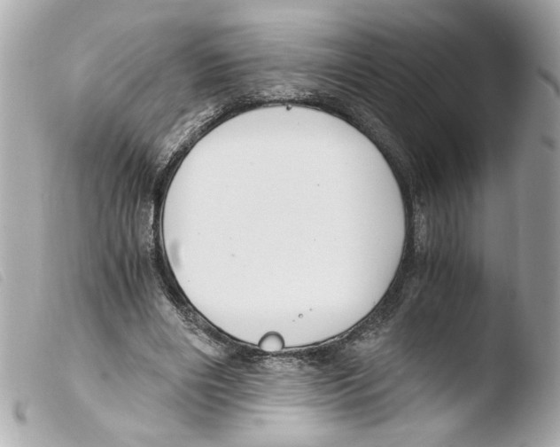 X0000103480490200810101003