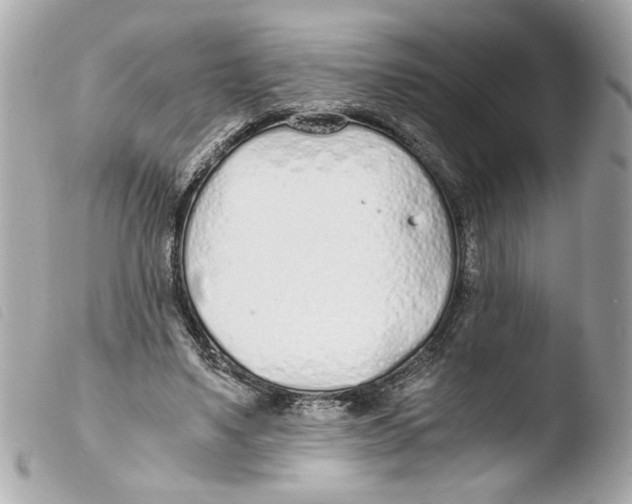 X0000103480491200810101003