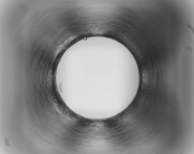 X0000103480492200810101002