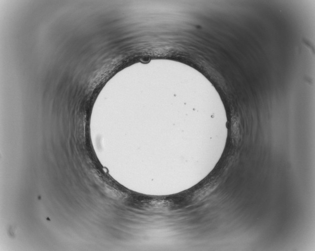 X0000103480493200810101002