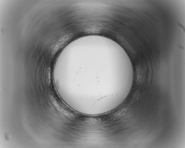 X0000103480494200810101002