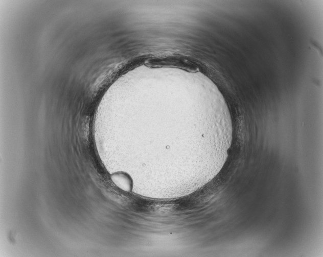 X0000103480495200810101002