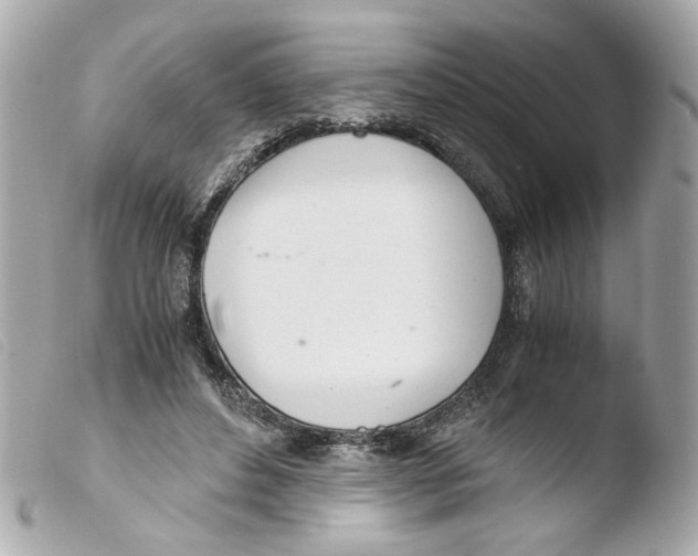 X0000103480496200810101002