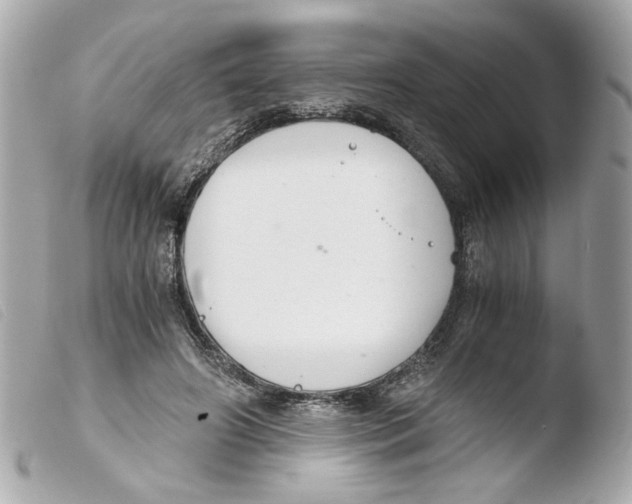 X0000103480498200810101002