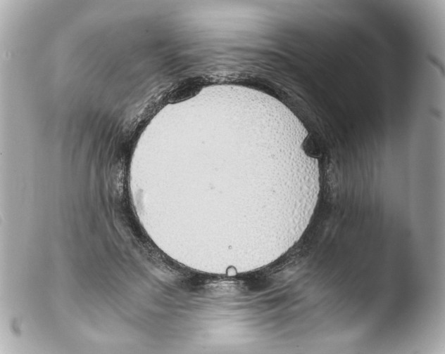 X0000103480499200810101002