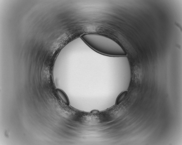 X0000103480500200810101002